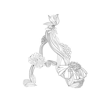 花字體；字母A