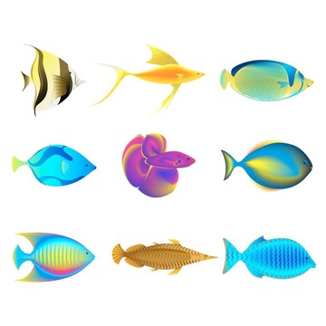 五顏六色的魚(yú)