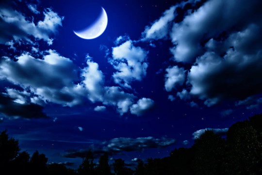 夜森林與明亮的大月亮在黑暗的天空