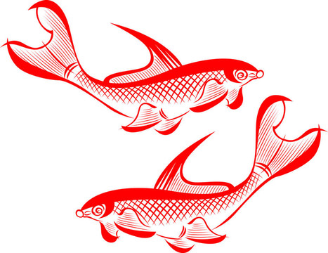 魚(yú)的插圖