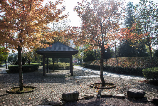 公園秋色