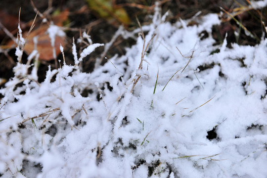 雪  積雪