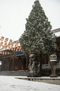 香積寺雪中天王殿