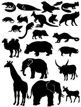 野生動物