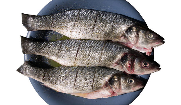 鱸魚原料