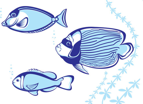 熱帶魚