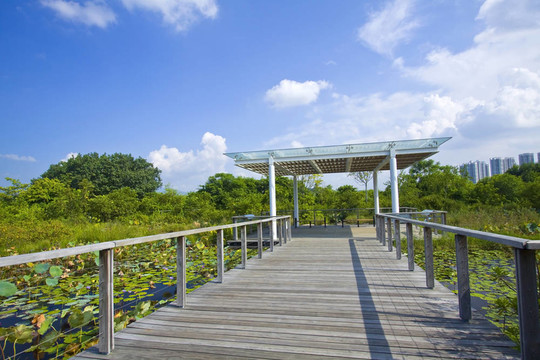 香港濕地公園