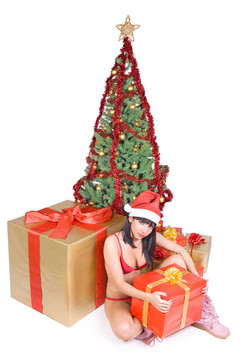 Santa夫人帶禮物盒和圣誕樹