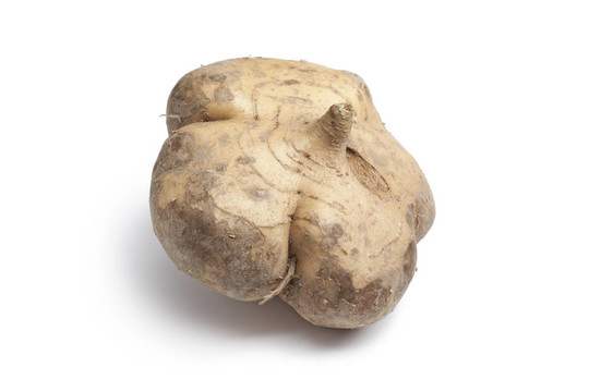 整個單豆薯