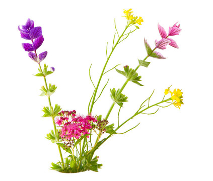 小的花