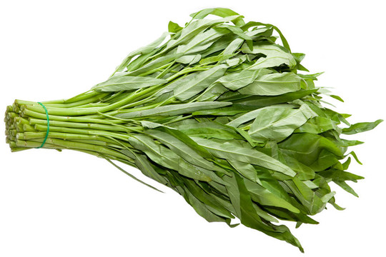 對白菜