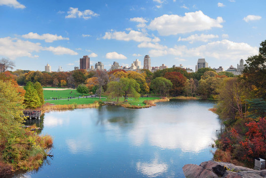 曼哈頓市紐約中央公園