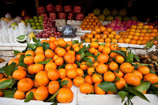 柑橘和其他水果堆柬埔寨市场