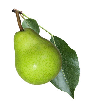 青梨
