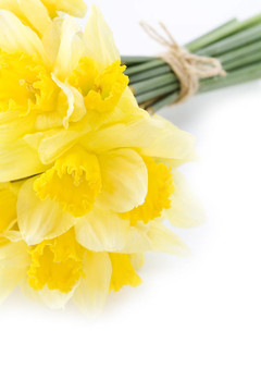 一束水仙花