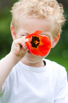 紅花男孩