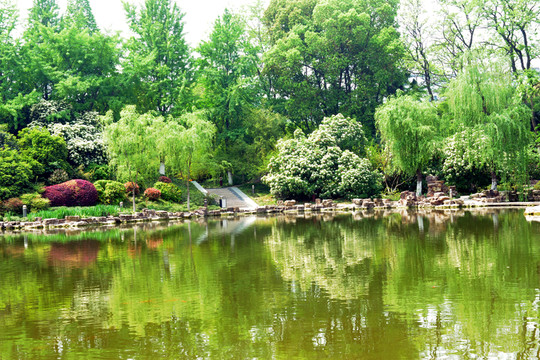 常州紅梅公園