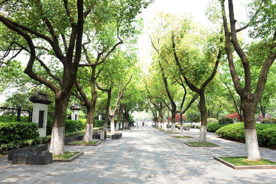 常州紅梅公園