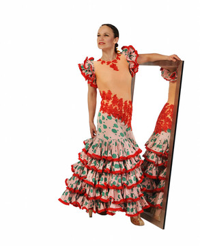 Flamenko的舞者