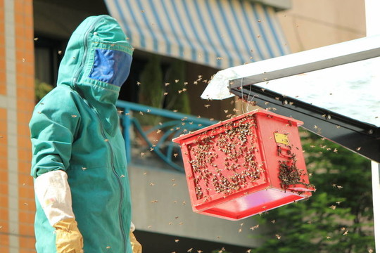 消防員和蜜蜂