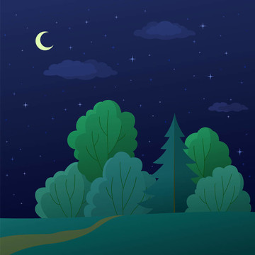 景觀；夜夏森林