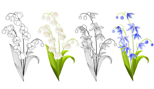 春花收藏