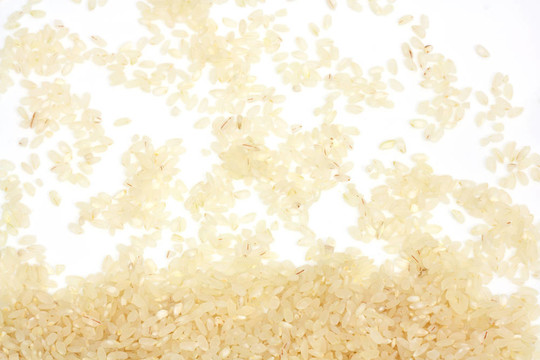 Brown Rice白底背景