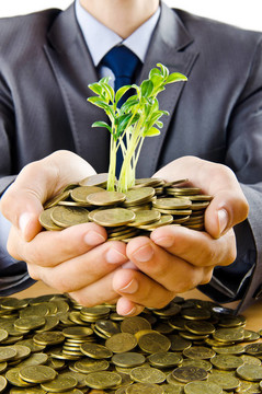 商人用金苗和金幣