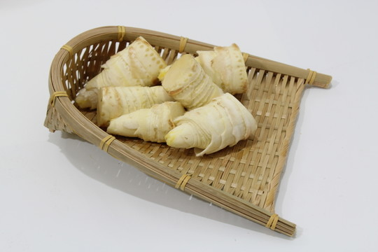 冬筍與簸箕