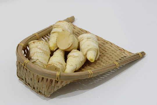 冬筍與簸箕