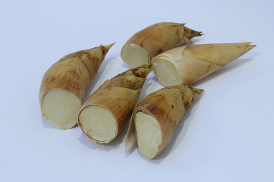 冬筍