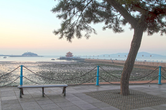 青島