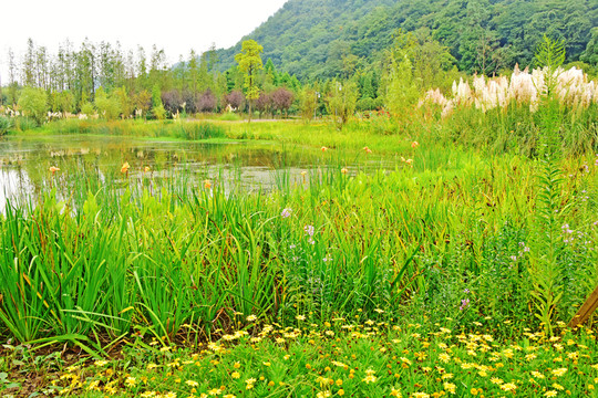 貴陽花溪濕地公園
