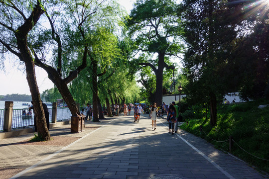 北海公園湖邊林蔭道游人