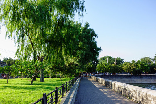北京故宮筒子河草坪柳樹