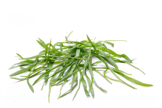 草綠色元素