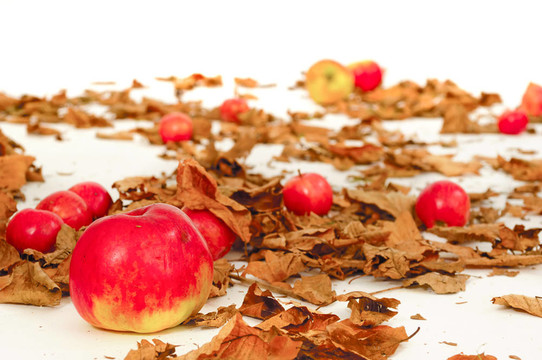 紅蘋果