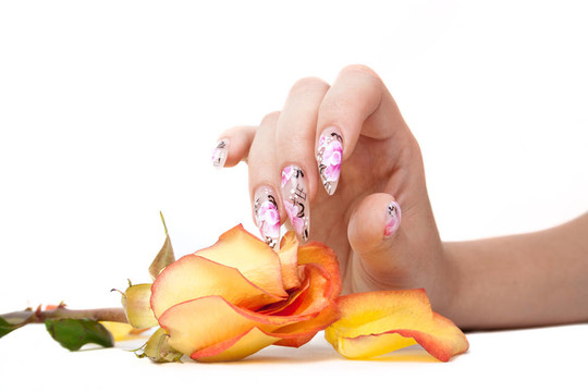 釘子和花
