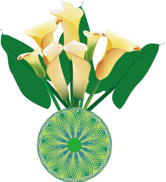 美麗的calla lily