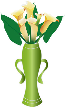 美麗的calla lily