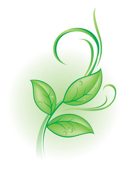 植物