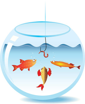 魚在魚缸