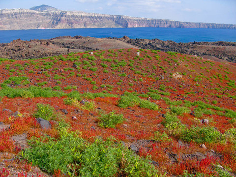 Santorin Thirasia島火山