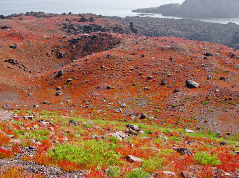 圣托里尼Thirasia島火山