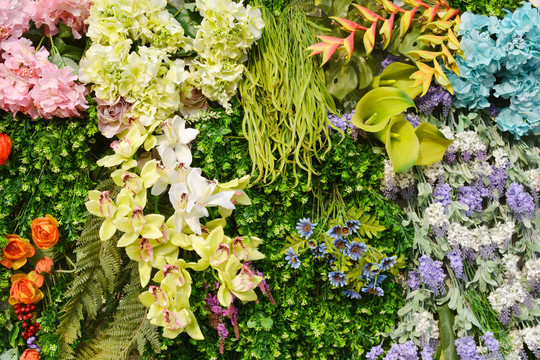 綠植墻