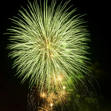 明亮多彩的煙花在夜空