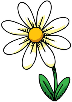 雛菊