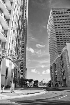 邁阿密的現(xiàn)代建筑