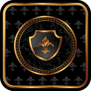 帶屏蔽的金色框架