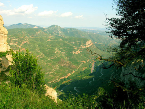 綠色自然；春天山